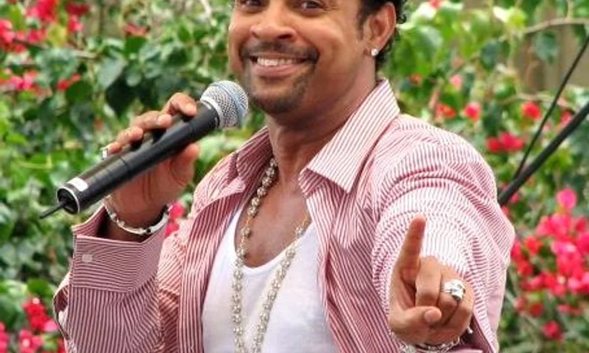 Shaggy
