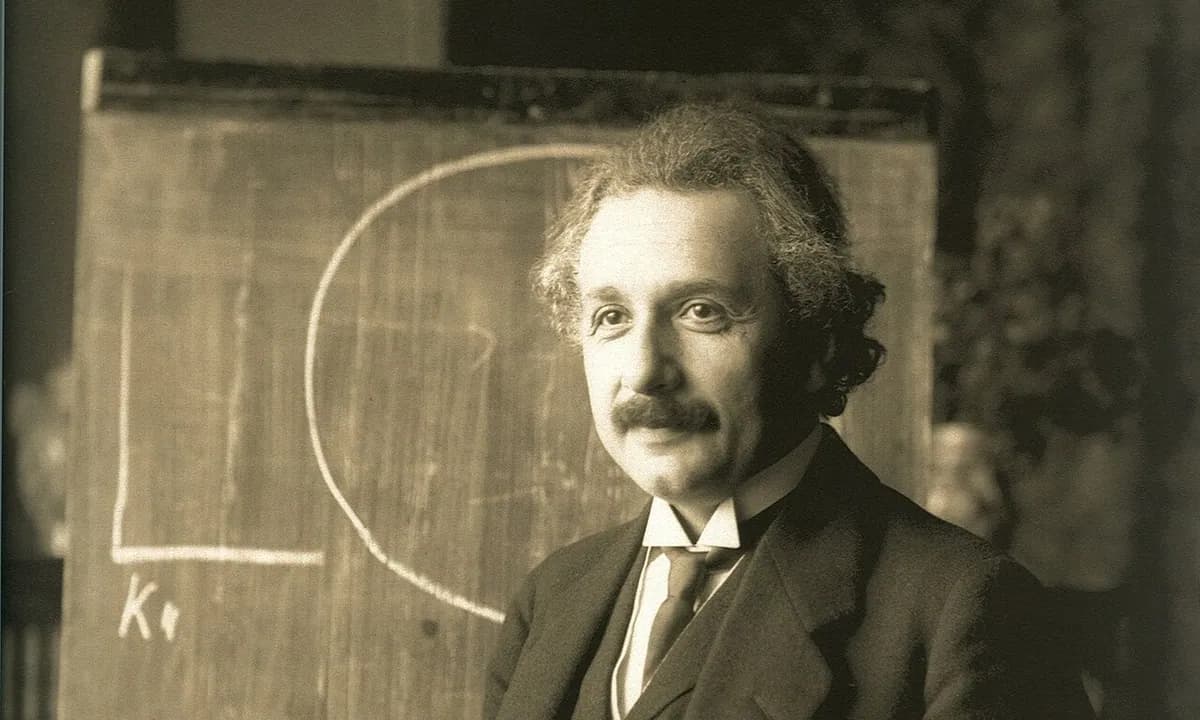 Professor