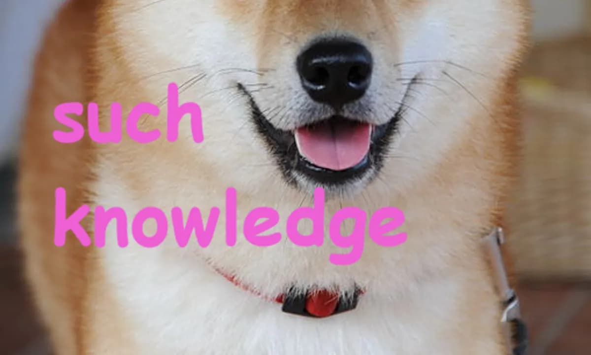 Doge