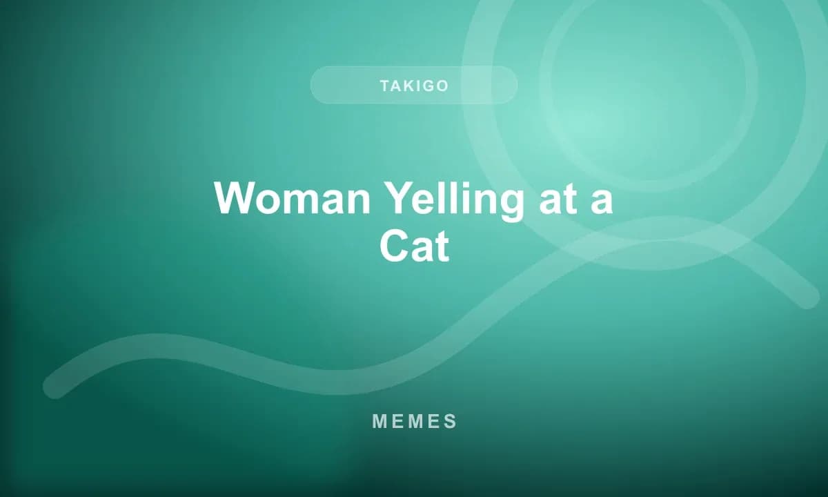 Woman Yelling at a Cat