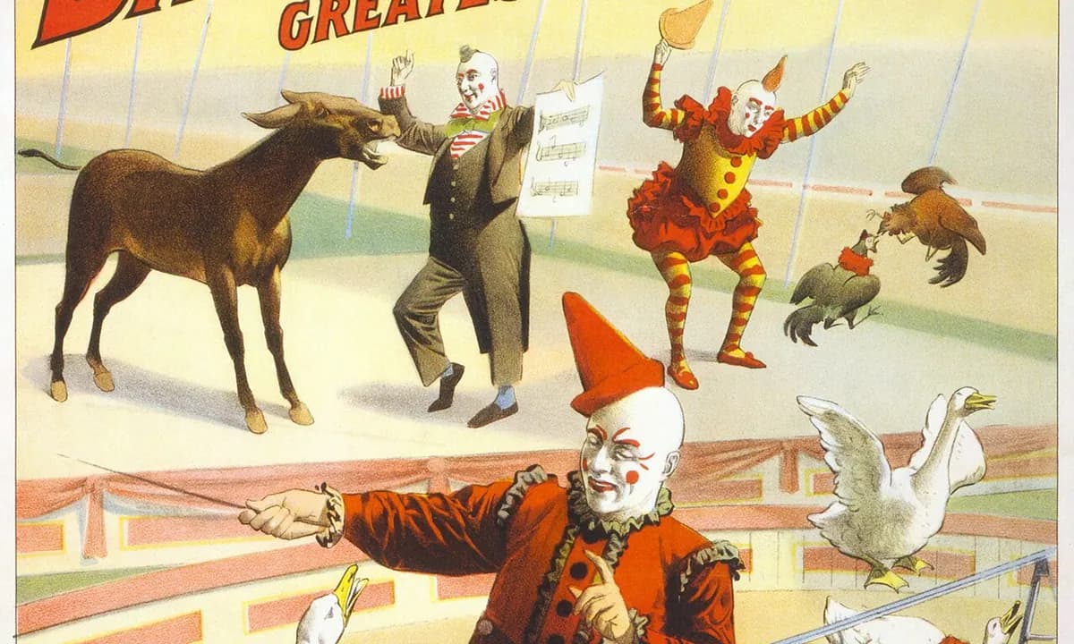 Circus