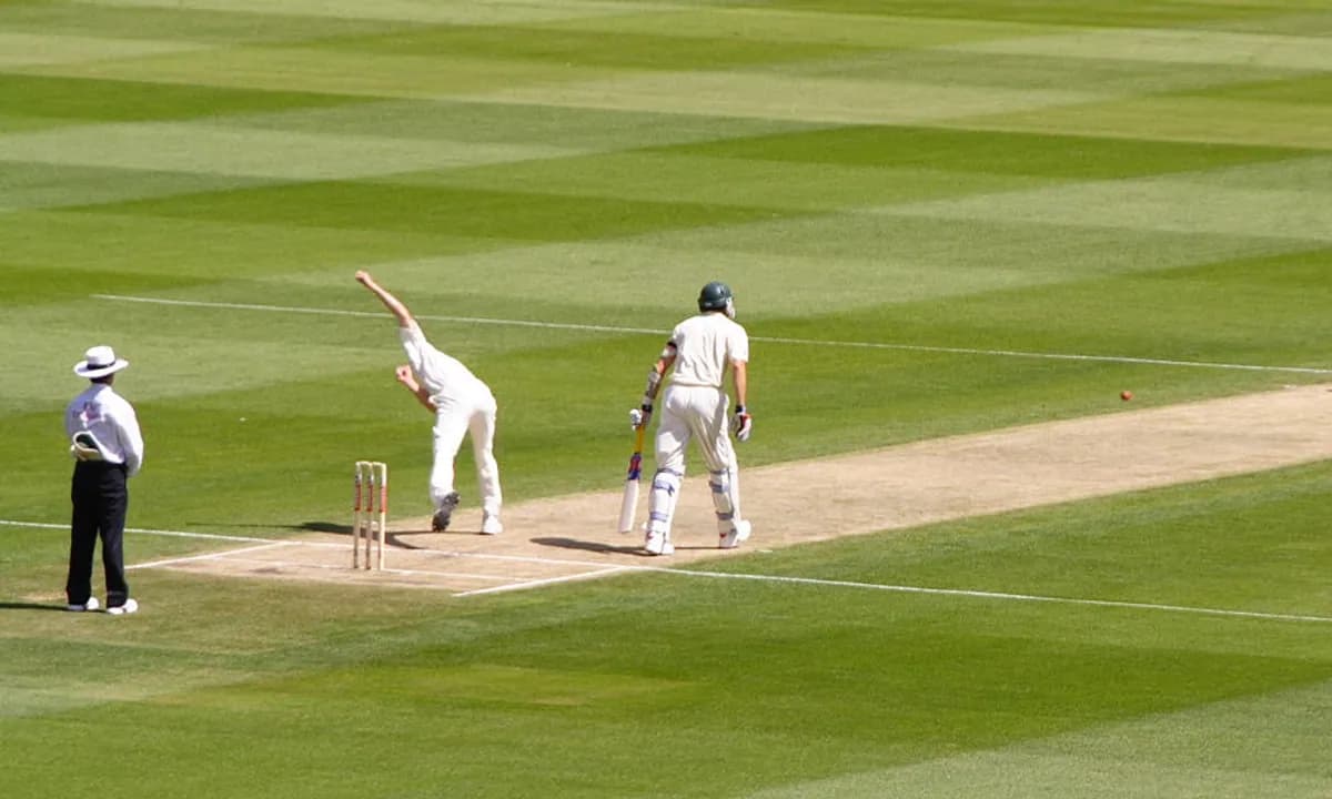 Cricket