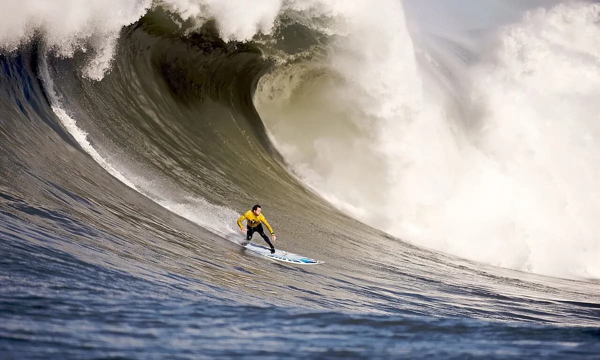 Surfing
