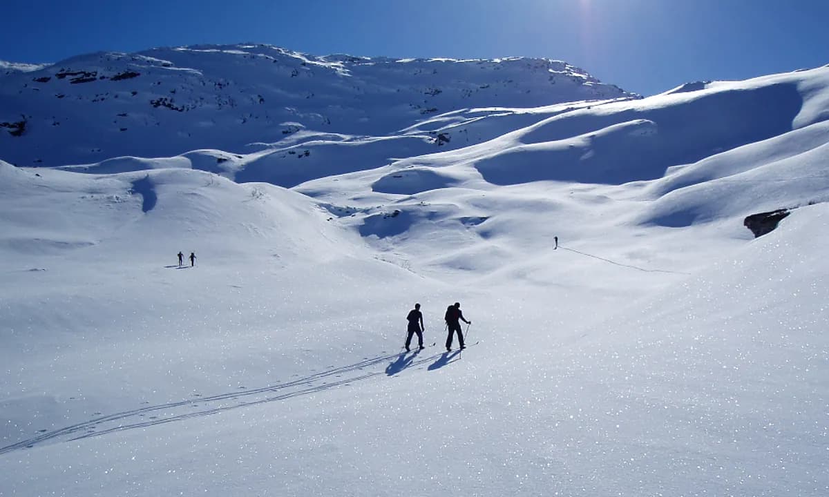 Cross-country skiing