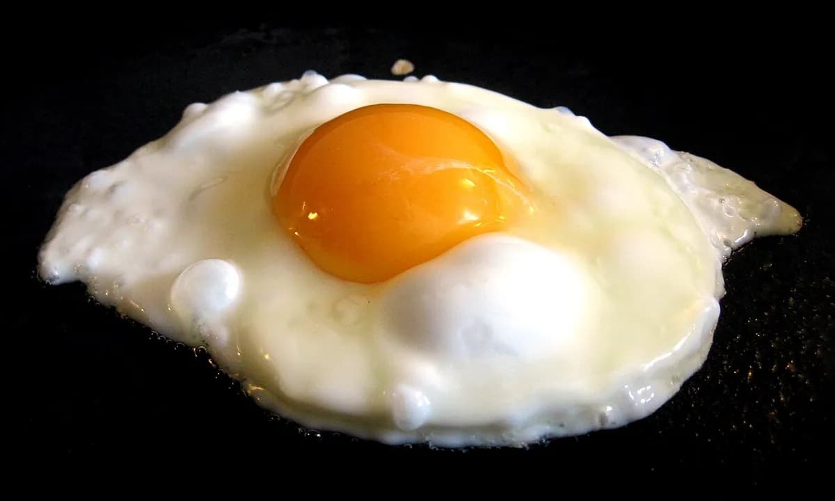 Fried eggs