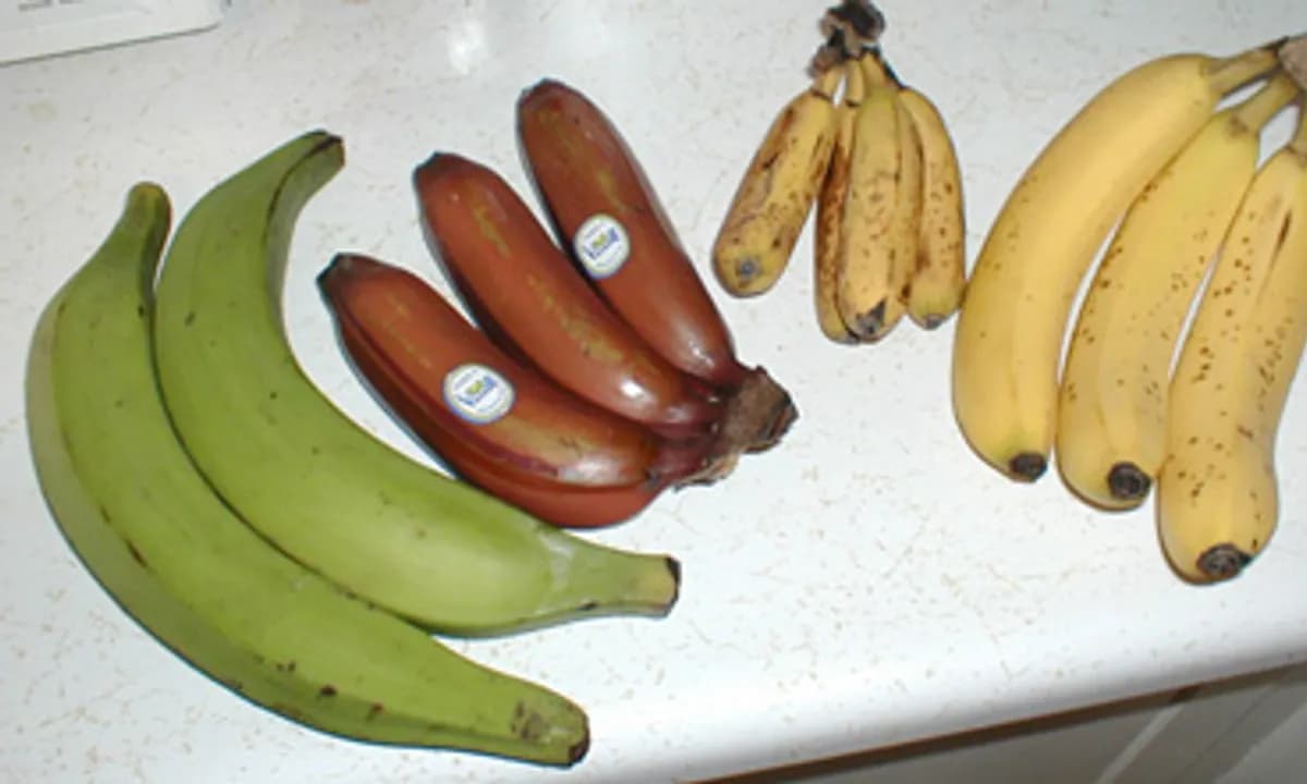 Banana