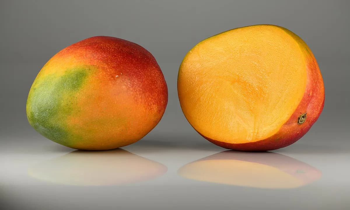 Mango