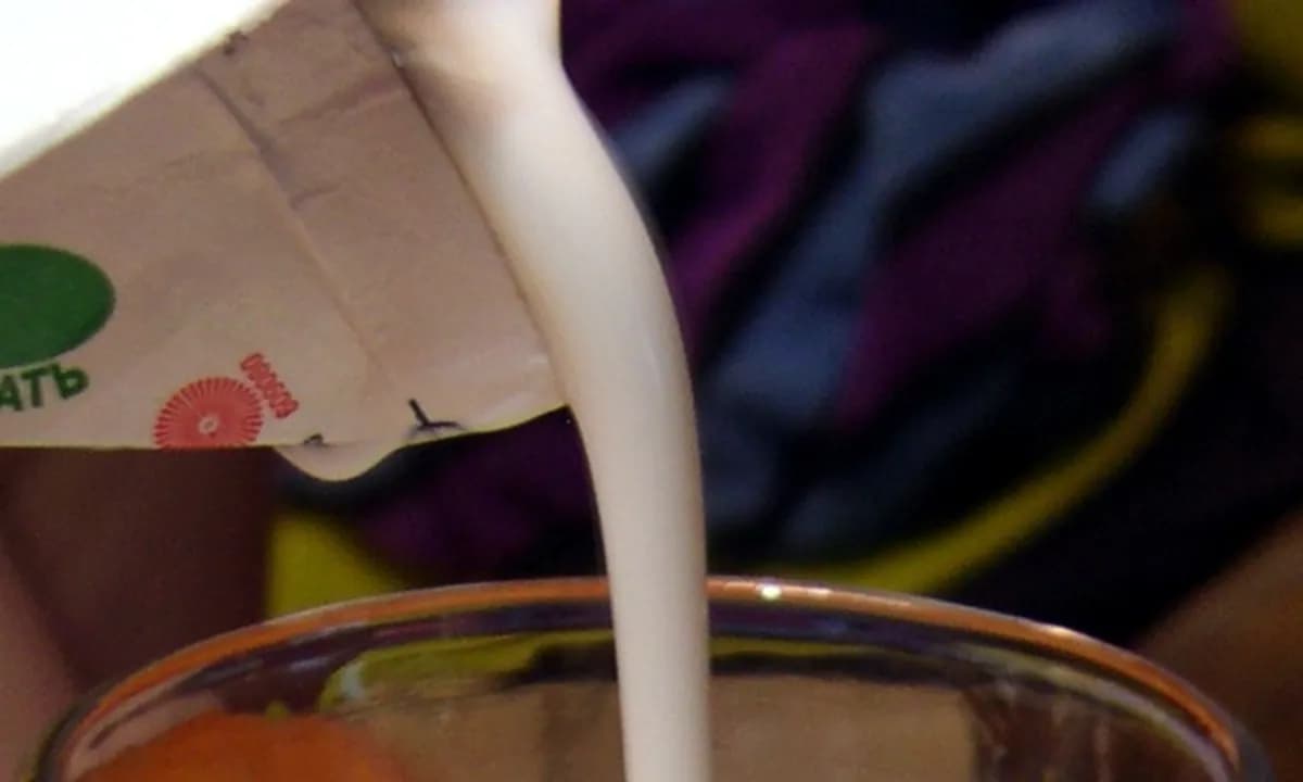 Kefir