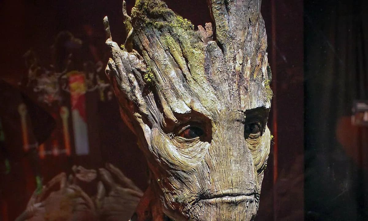 Groot